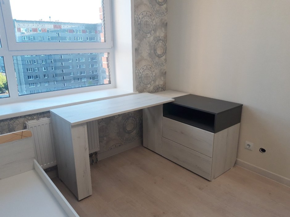 Ньютон Грэй 38 попугаев