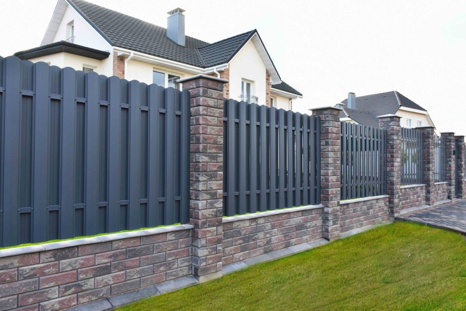 Забор БРИКС