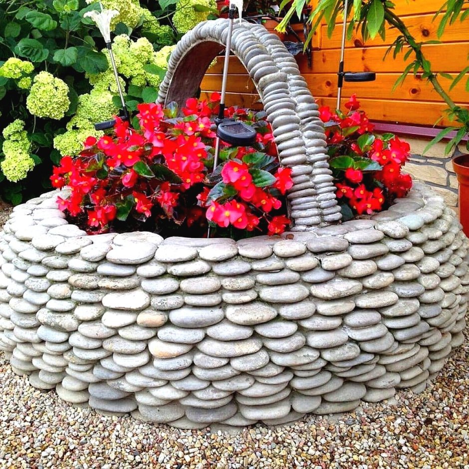 Анютины глазки садовые