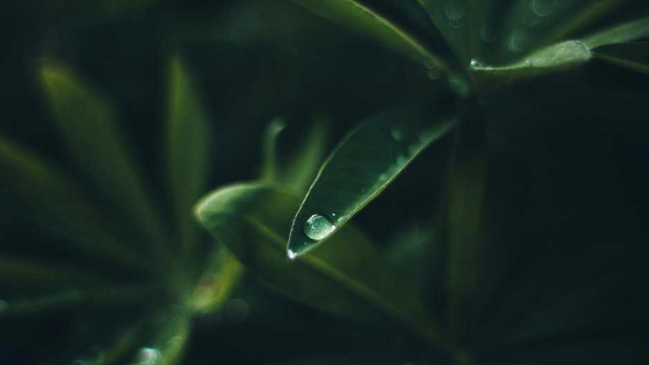 Мебель из смолы