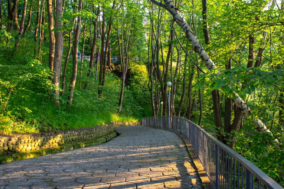 Лестница в Светлогорск спуск к морю