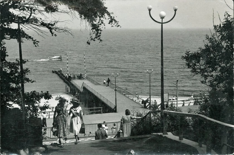 Светлогорск Сосновая 8 спуск к морю