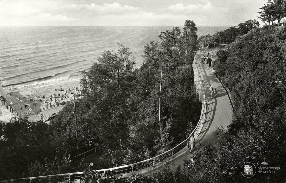 Донское Калининградская область спуск к морю