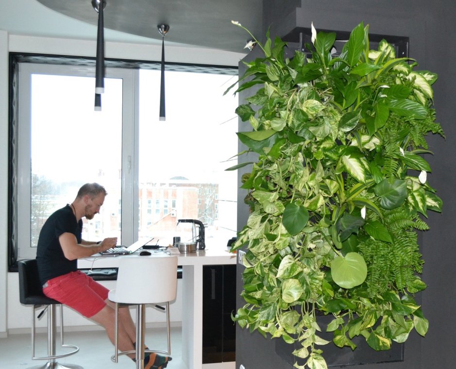 Экостиль в озеленении