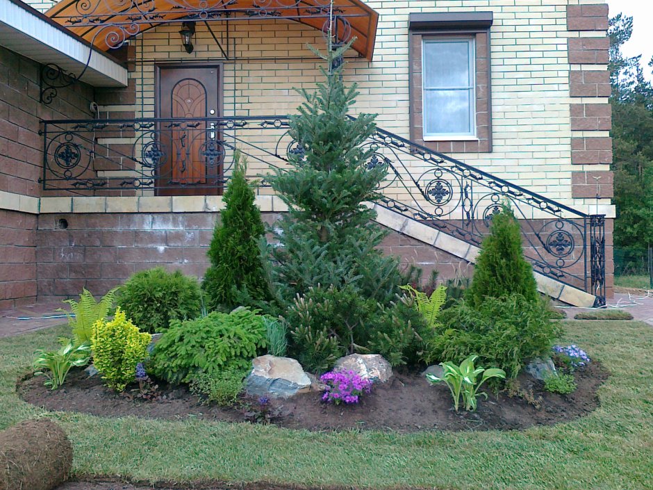 Входная зона с хвойниками