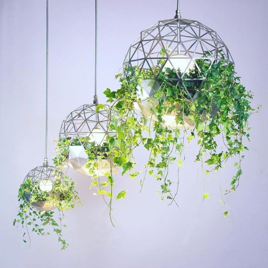 Ягель Фитодекор