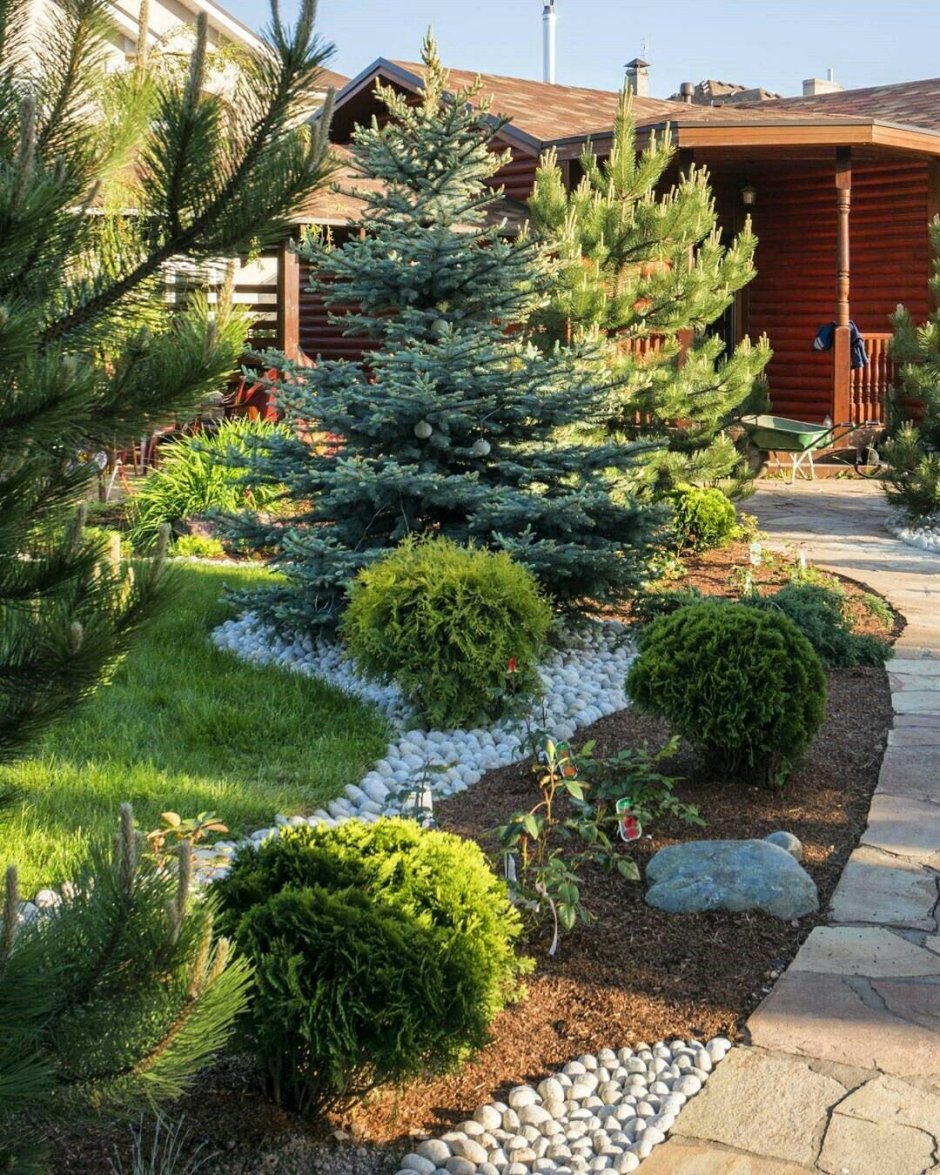 Ландшафтные сады с хвойниками