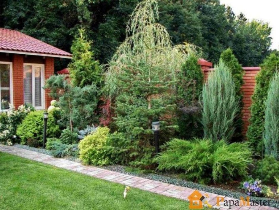 Миксбордер лиственница европейская