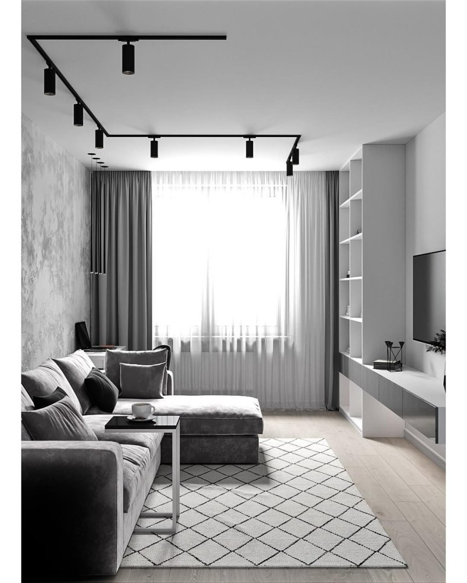 Гостиная в черно белом стиле