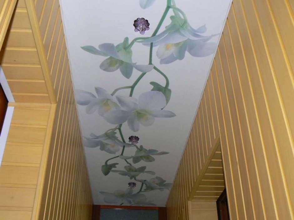 Фотопечать на натяжных потолках в коридоре