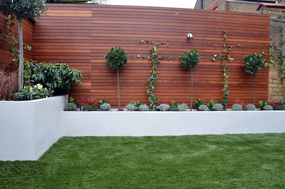 Шпалера вдоль забора