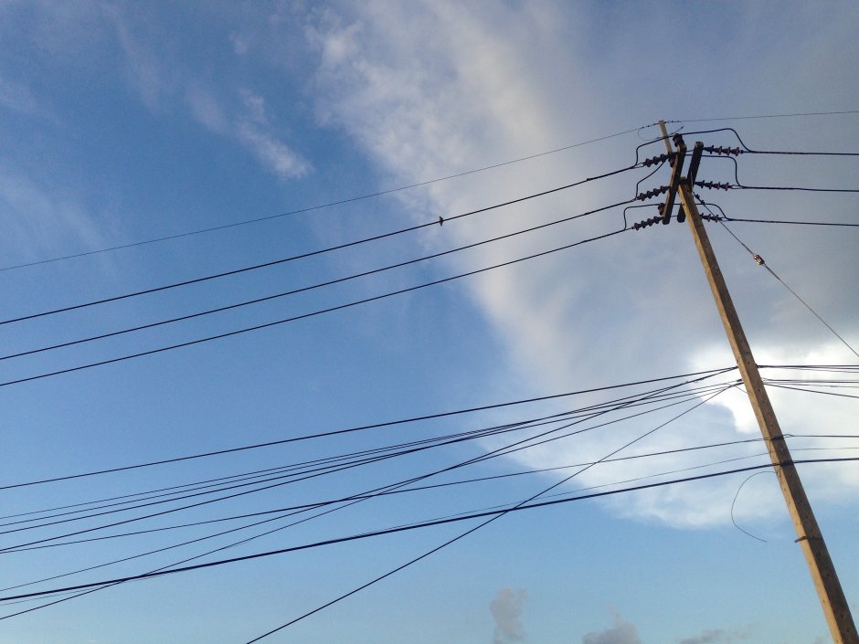 Много проводов на столбе