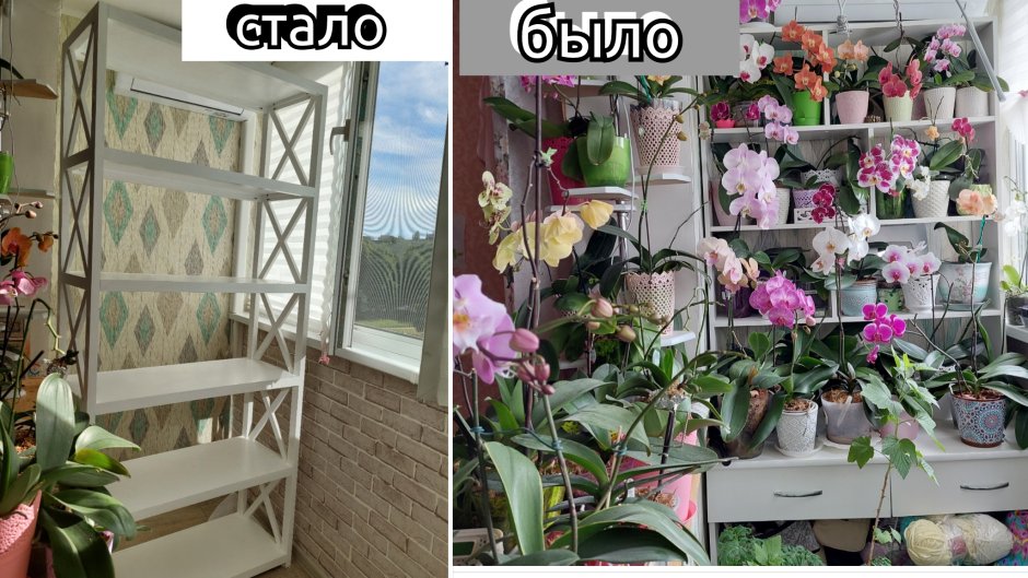 Канал цветок