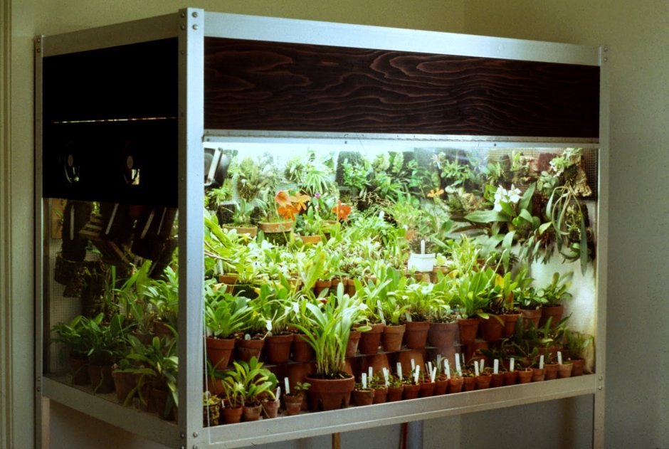Полки для орхидей с подсветкой