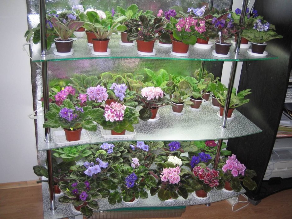 Стеллаж под фиалки с подсветкой