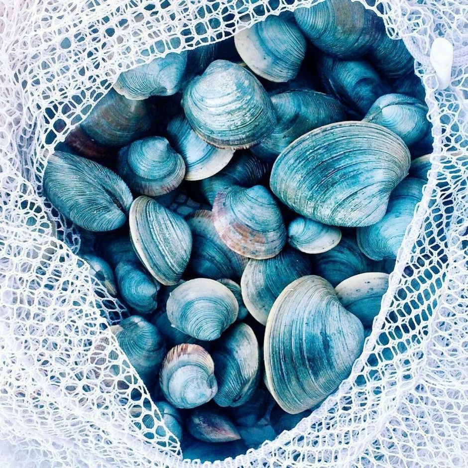 Эстетика голубого