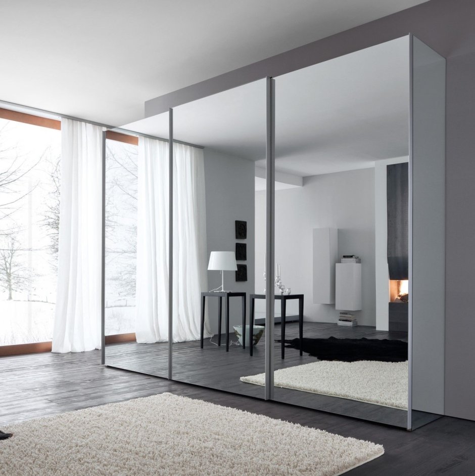 Дверь на рельсе с зеркалом