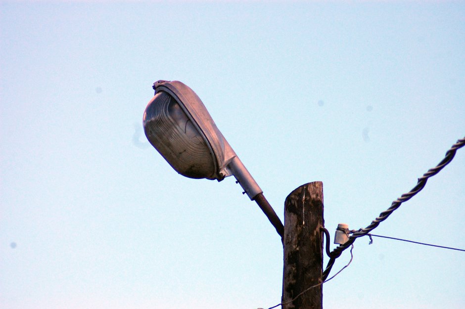 Настенный светильник Seletti Bird White