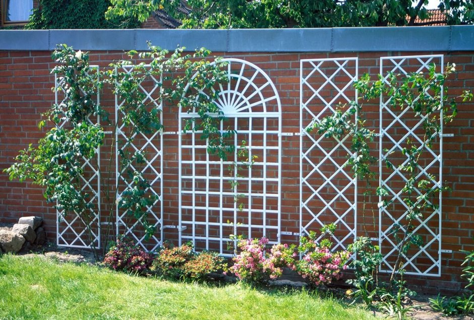 Трельяжная изгородь