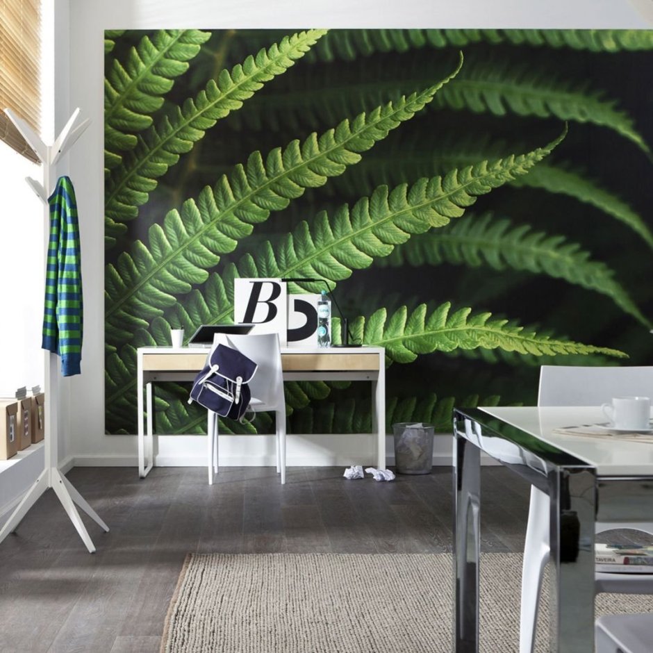 Папоротник на стене