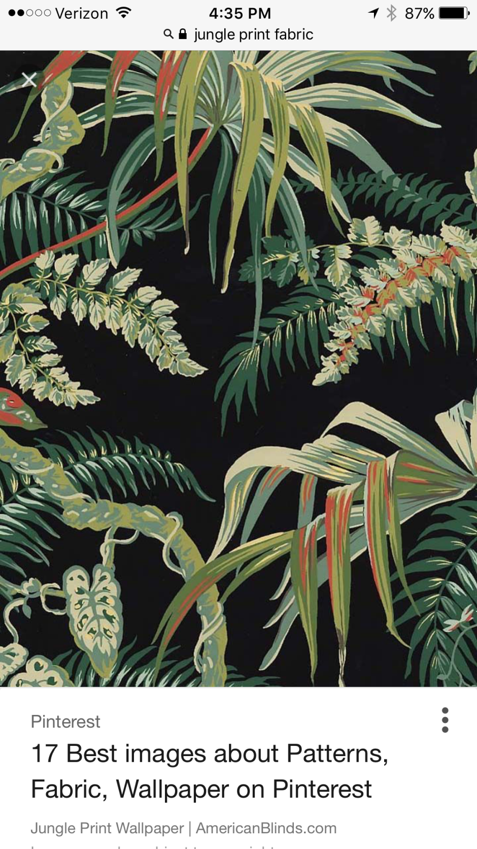 Джунгли Пинтерест