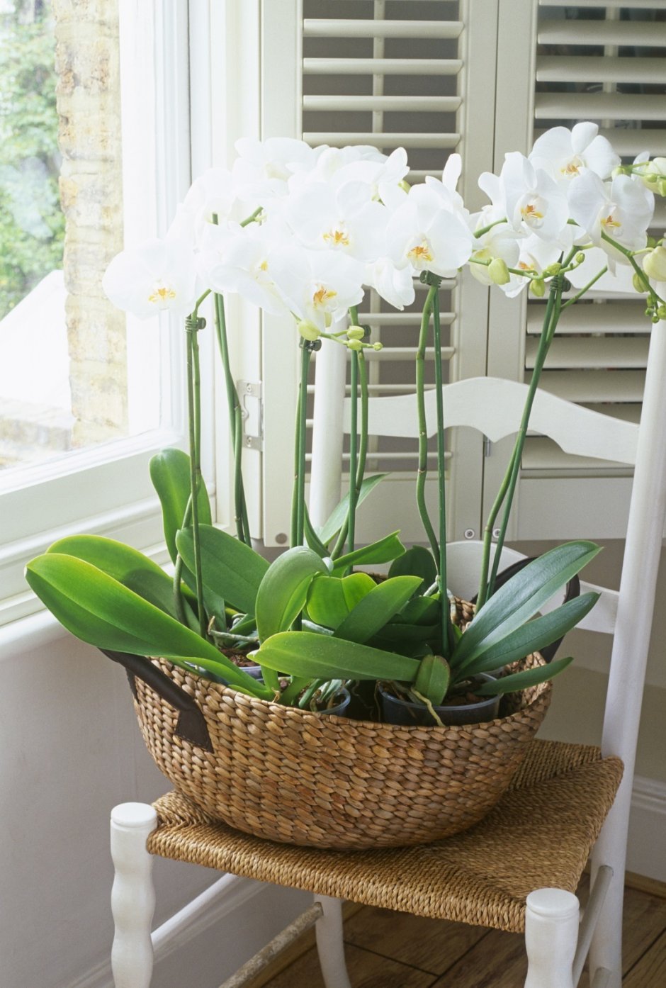 Гостиная с 3д обоями