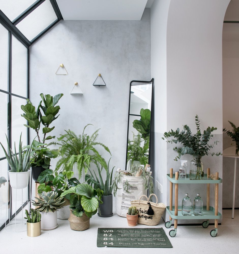 Фазенда зимний сад