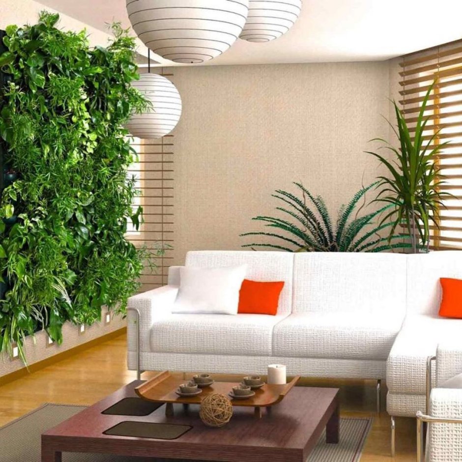Декоративные растения для интерьера