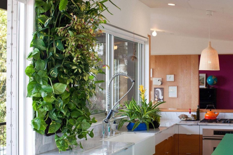 Фитодизайн рококо