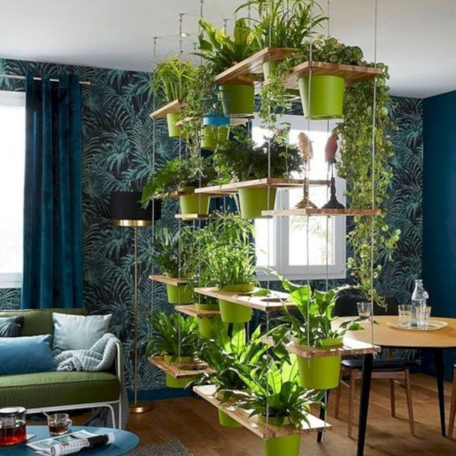 Растения в интерьере