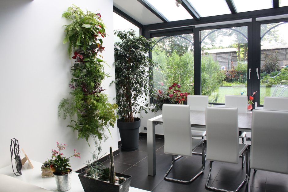 Фитодизайн комнатных растений