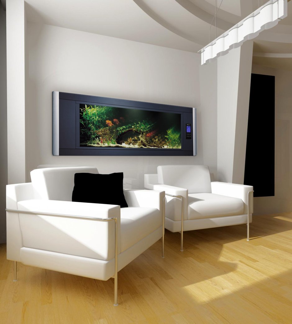 Дизайнерский аквариум