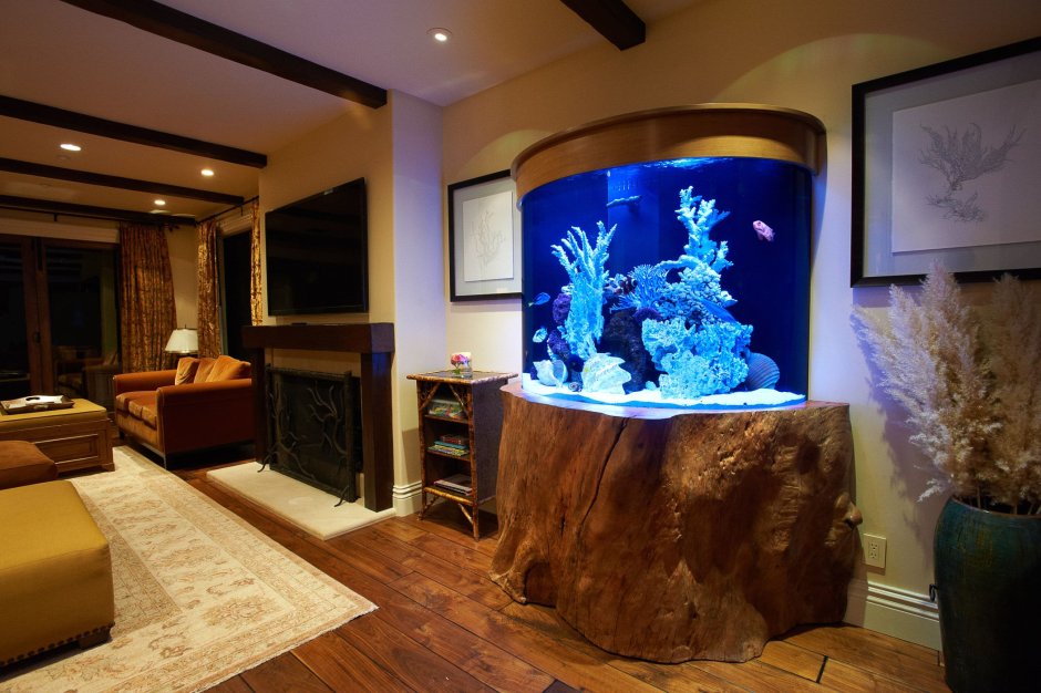 Тумба под аквариум 61х73х41