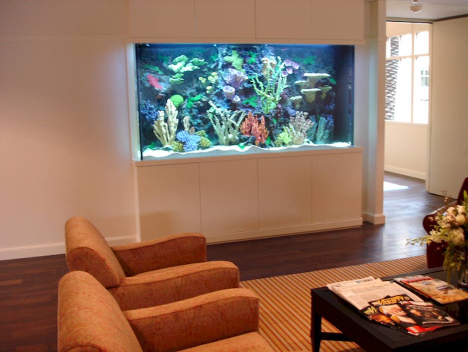 Маленький аквариум в офис