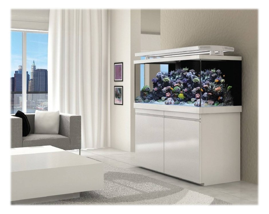 Аквариум в гостиной