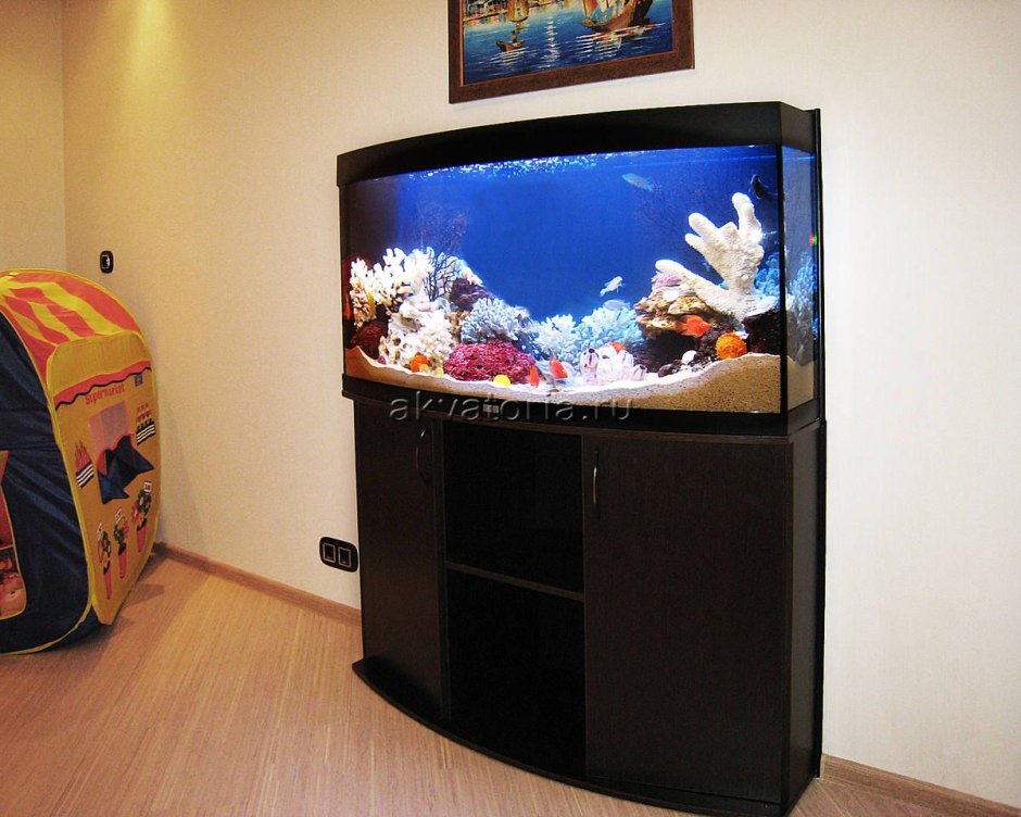 Встроенные аквариумы в мебель