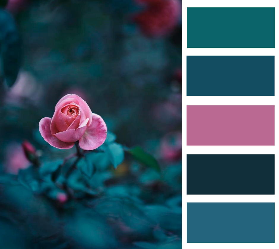 Цветовая палитра розовый зеленый