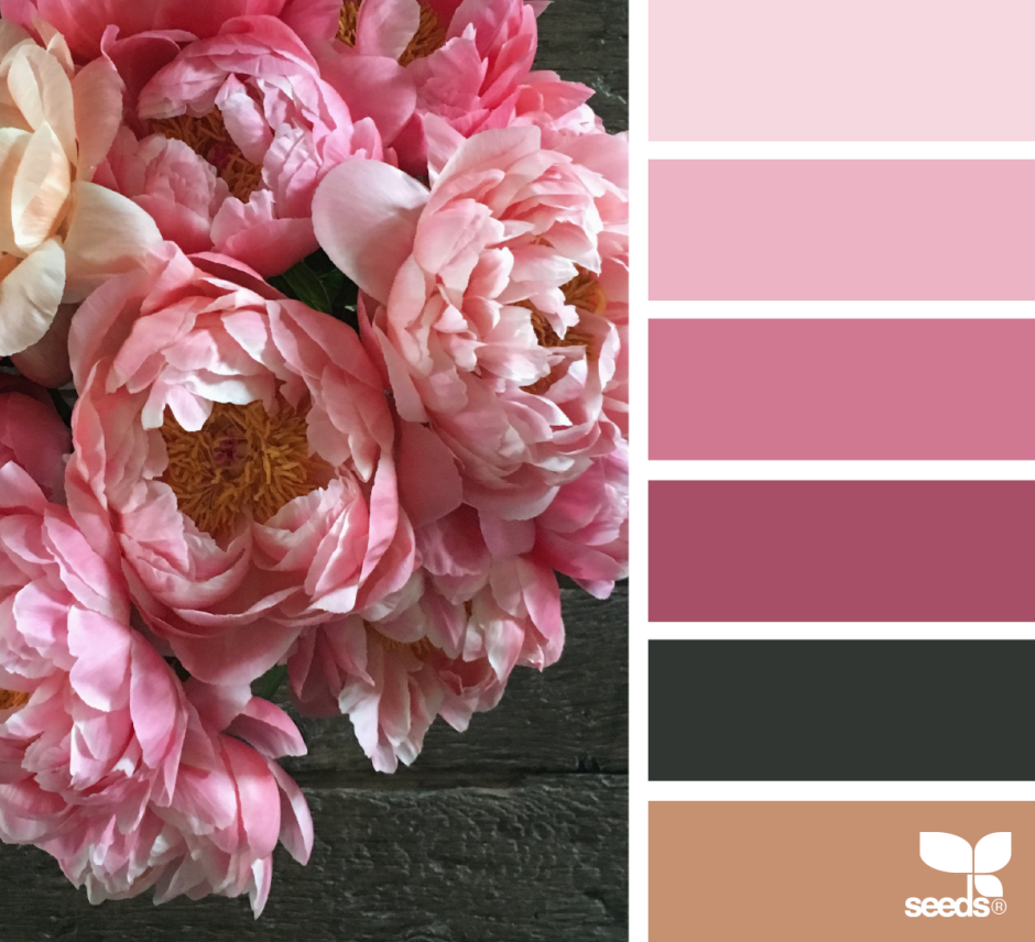 Спальня в черно розовых тонах