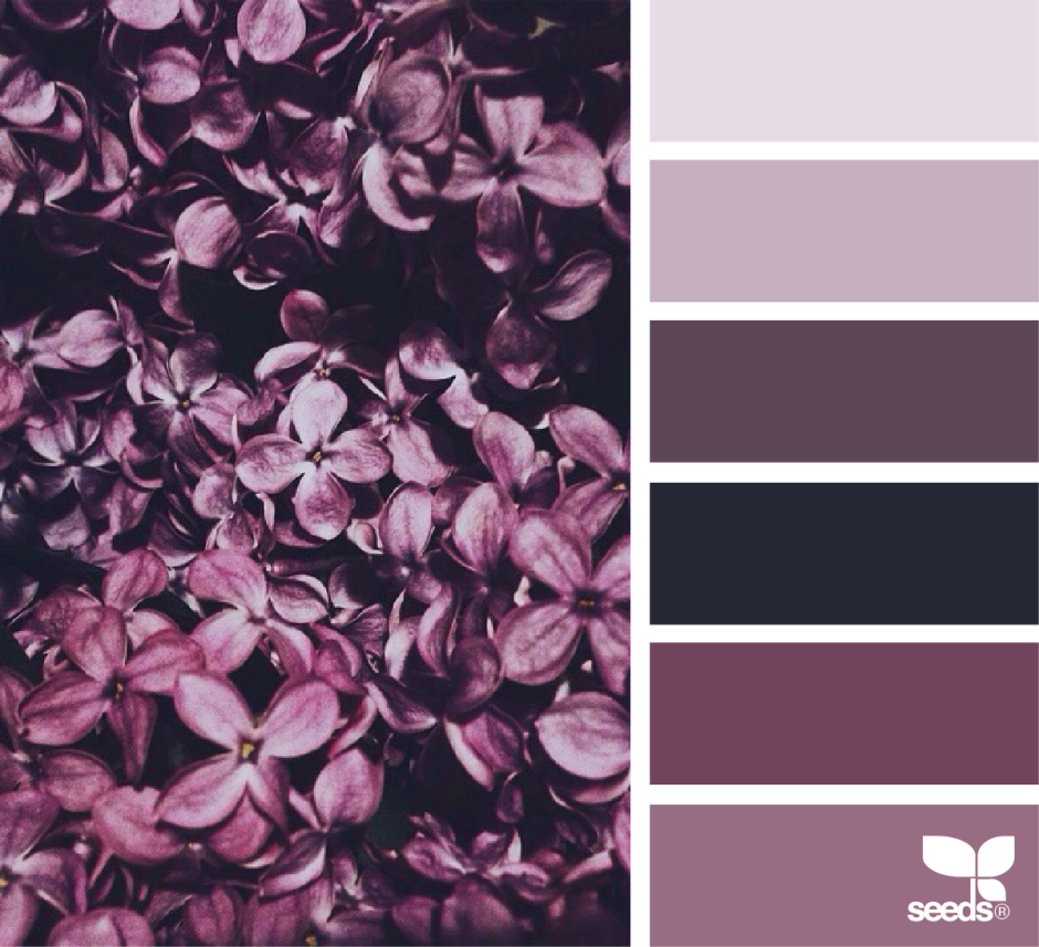 Темно фиолетовый палитра