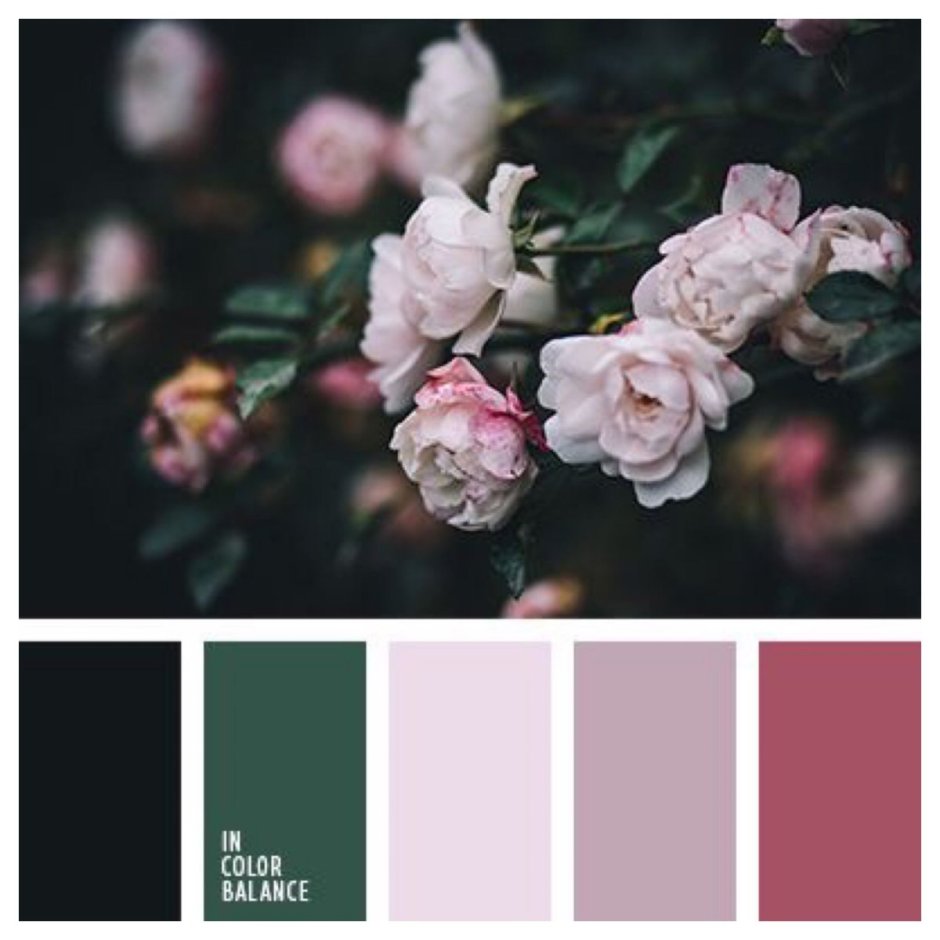 Черно розовая палитра