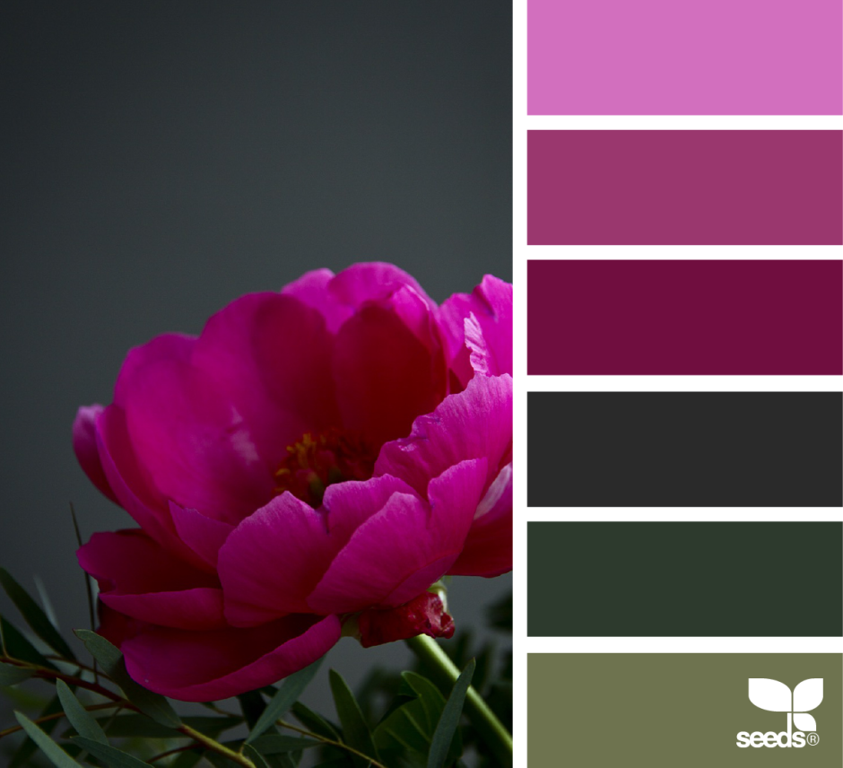 Цветовая палитра