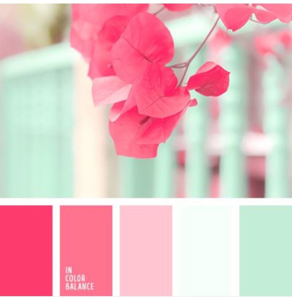 Образы с розовым пиджако