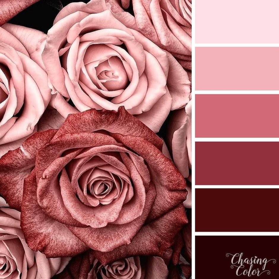 Интерьер салона красоты в розовых тонах