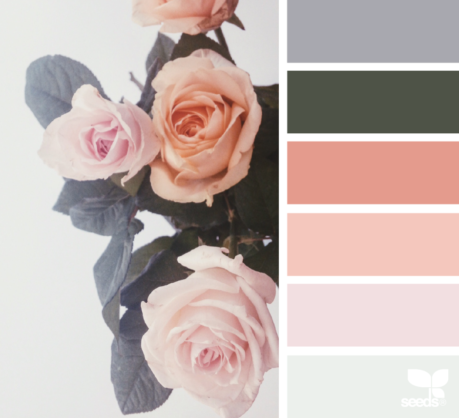 Нежные цвета палитра