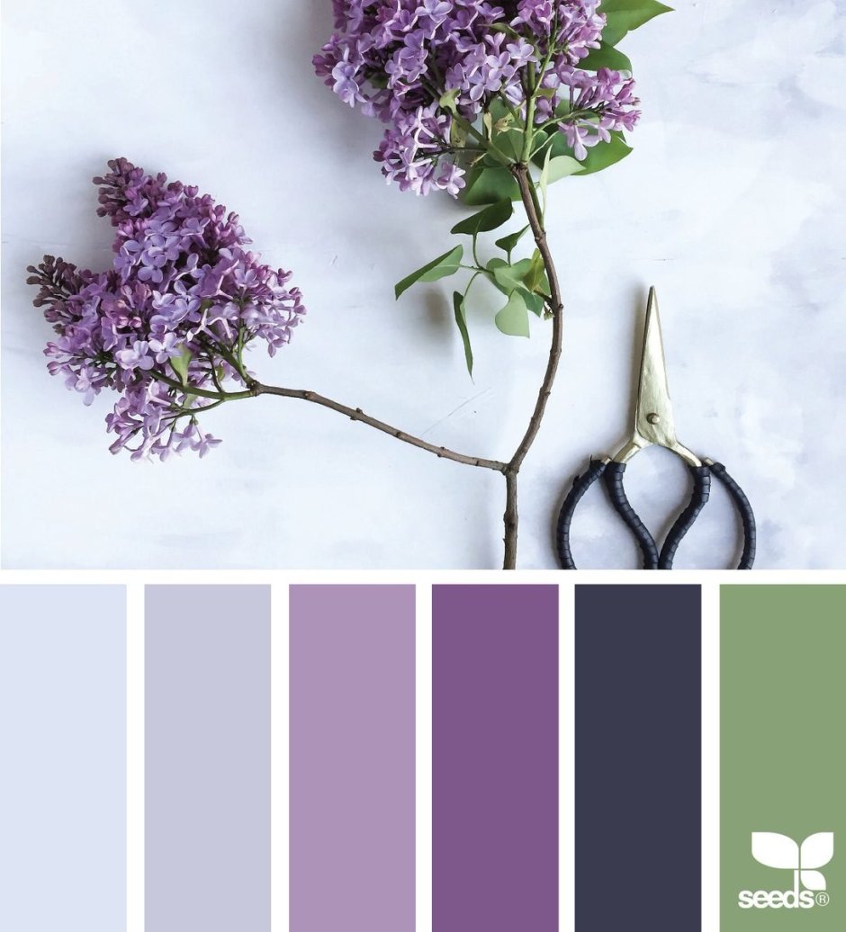 Палитра Лаванда мята шалфей