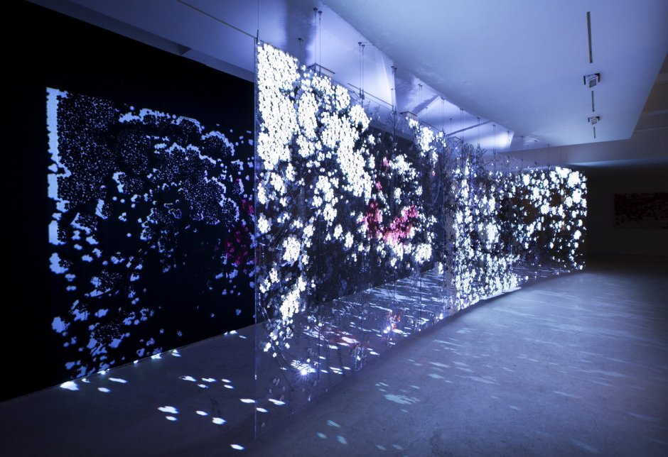 Живые инсталляции