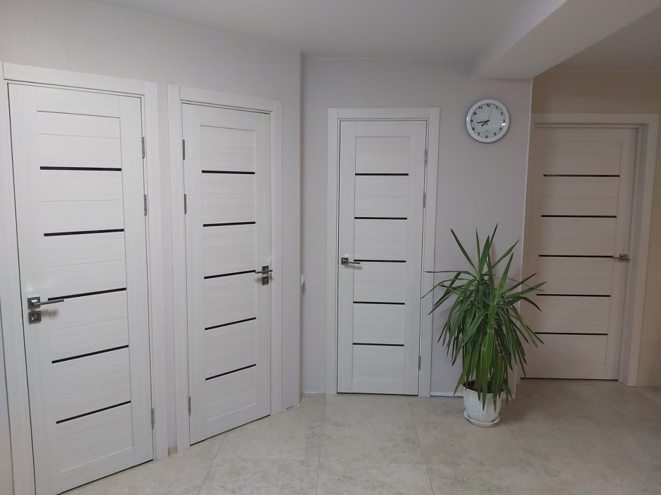 Эльпорта 22 капучино двери