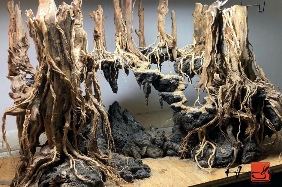 Аквариум с корягой и камнями