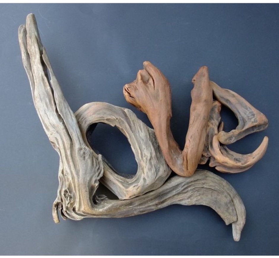 Красивая коряга