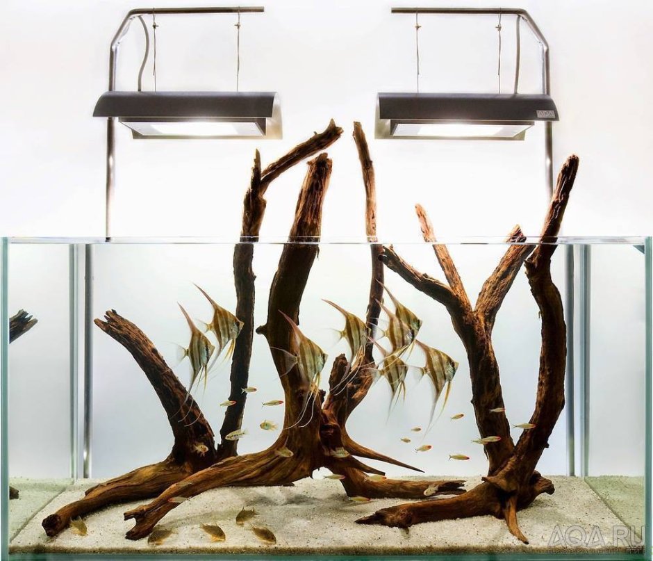 Акваскейп хардскейп